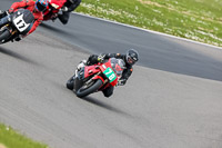 anglesey-no-limits-trackday;anglesey-photographs;anglesey-trackday-photographs;enduro-digital-images;event-digital-images;eventdigitalimages;no-limits-trackdays;peter-wileman-photography;racing-digital-images;trac-mon;trackday-digital-images;trackday-photos;ty-croes